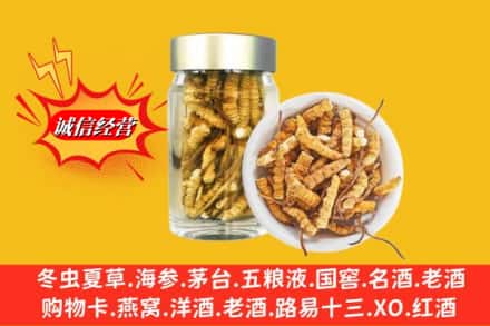 万柏林区回收散虫草