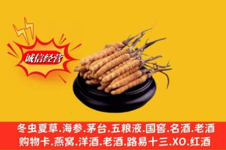 万柏林区求购回收虫草多少钱每克